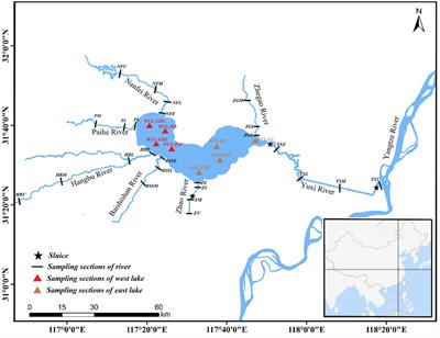 Effects of season and water quality on community structure of planktonic eukaryotes in the Chaohu Lake Basin